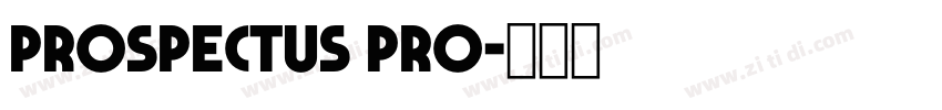 Prospectus Pro字体转换